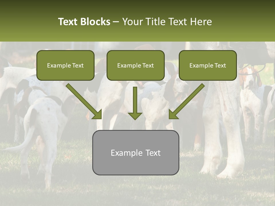 A Group Of Dogs That Are Standing In The Grass PowerPoint Template