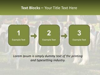 A Group Of Dogs That Are Standing In The Grass PowerPoint Template