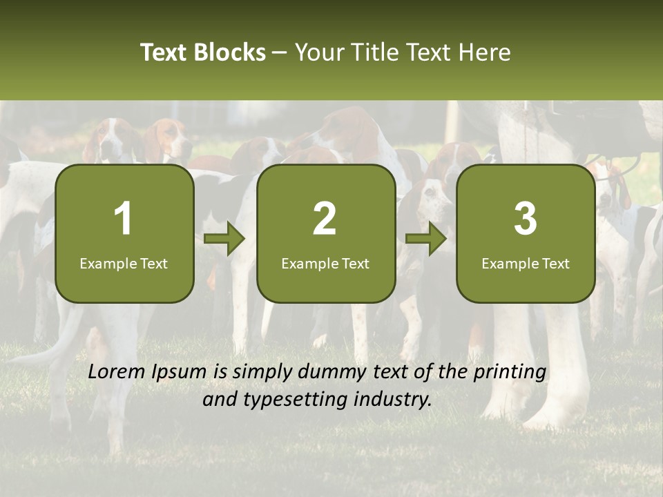 A Group Of Dogs That Are Standing In The Grass PowerPoint Template