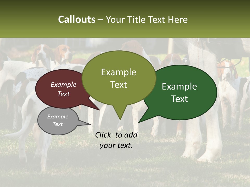 A Group Of Dogs That Are Standing In The Grass PowerPoint Template
