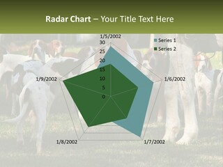 A Group Of Dogs That Are Standing In The Grass PowerPoint Template