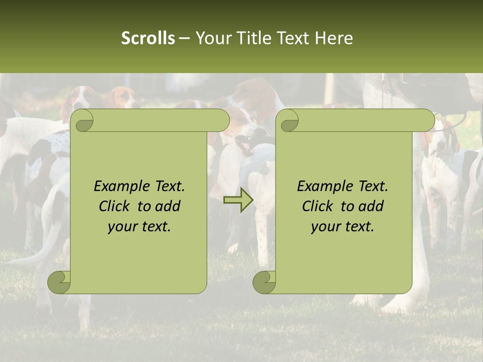 A Group Of Dogs That Are Standing In The Grass PowerPoint Template