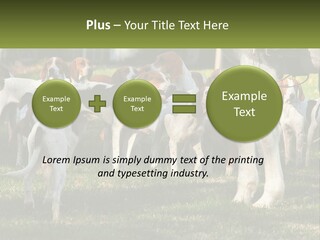 A Group Of Dogs That Are Standing In The Grass PowerPoint Template