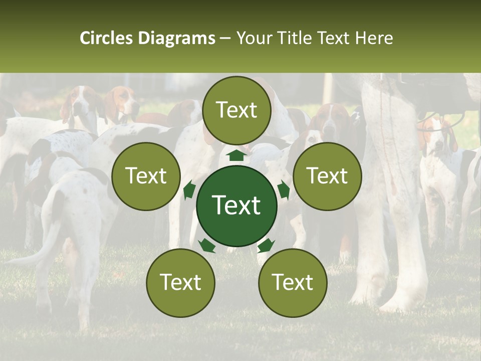 A Group Of Dogs That Are Standing In The Grass PowerPoint Template
