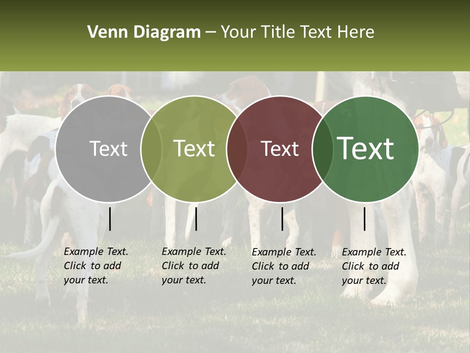 A Group Of Dogs That Are Standing In The Grass PowerPoint Template