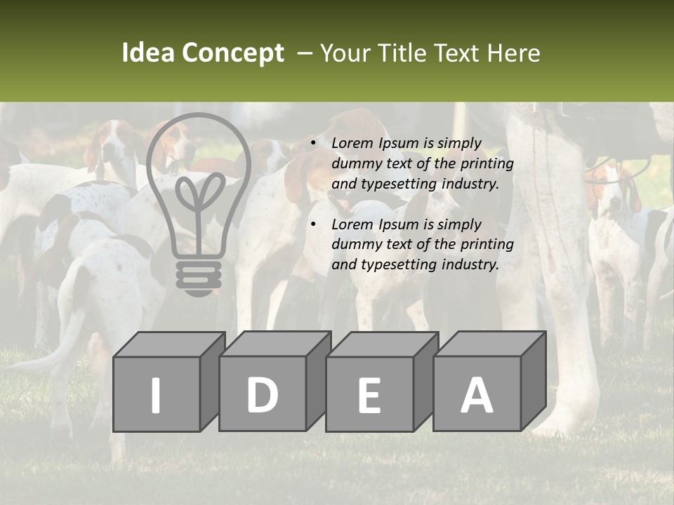 A Group Of Dogs That Are Standing In The Grass PowerPoint Template