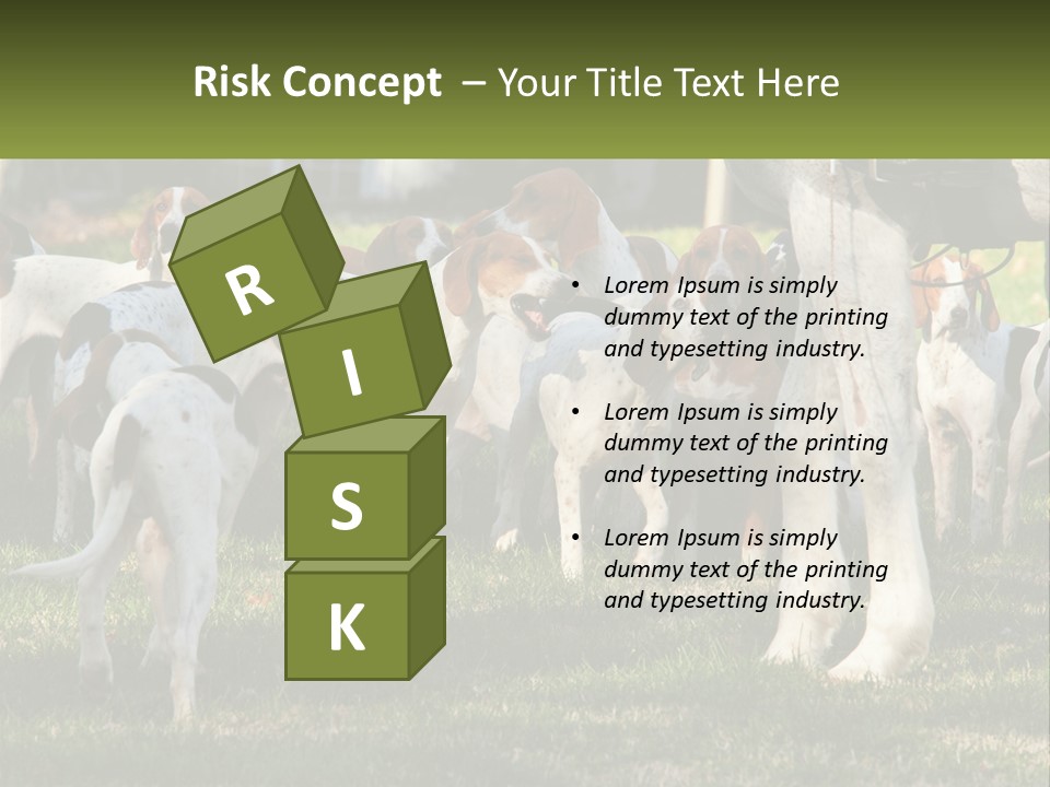 A Group Of Dogs That Are Standing In The Grass PowerPoint Template