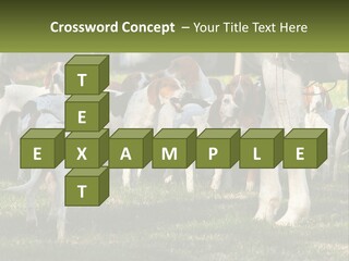 A Group Of Dogs That Are Standing In The Grass PowerPoint Template
