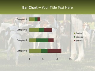 A Group Of Dogs That Are Standing In The Grass PowerPoint Template