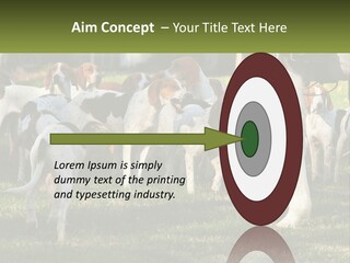 A Group Of Dogs That Are Standing In The Grass PowerPoint Template