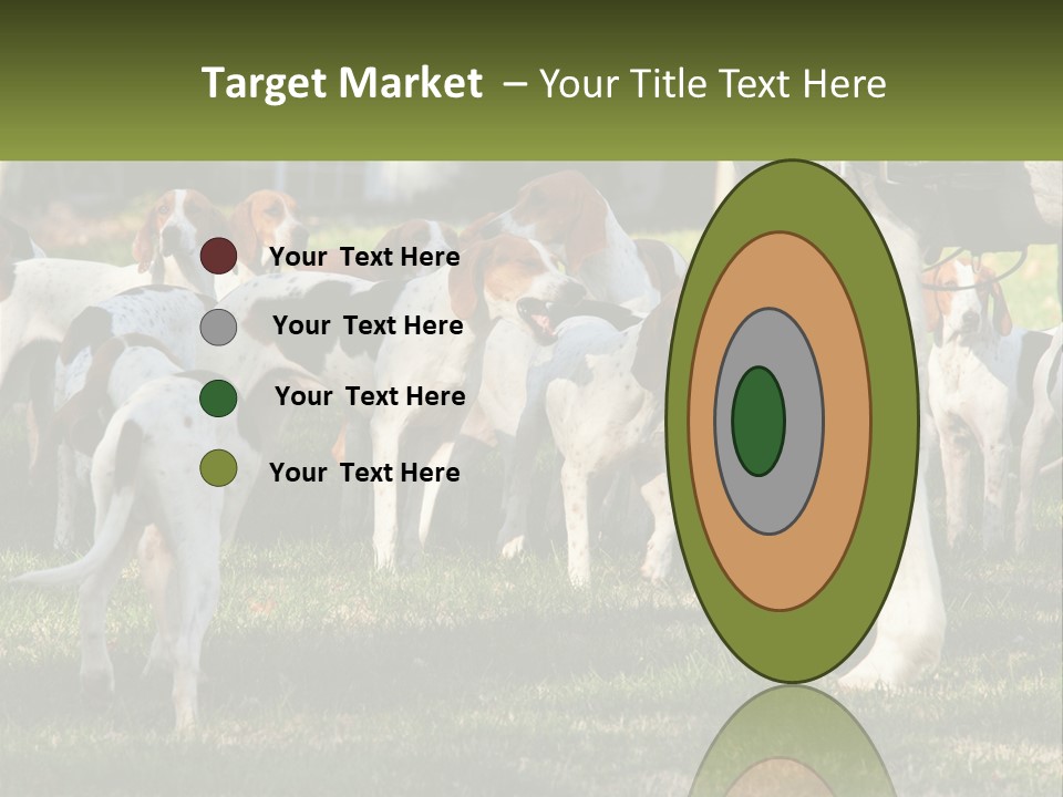 A Group Of Dogs That Are Standing In The Grass PowerPoint Template