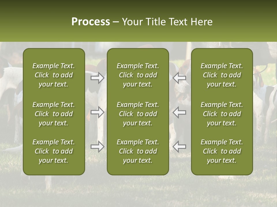 A Group Of Dogs That Are Standing In The Grass PowerPoint Template