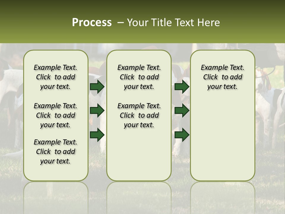 A Group Of Dogs That Are Standing In The Grass PowerPoint Template