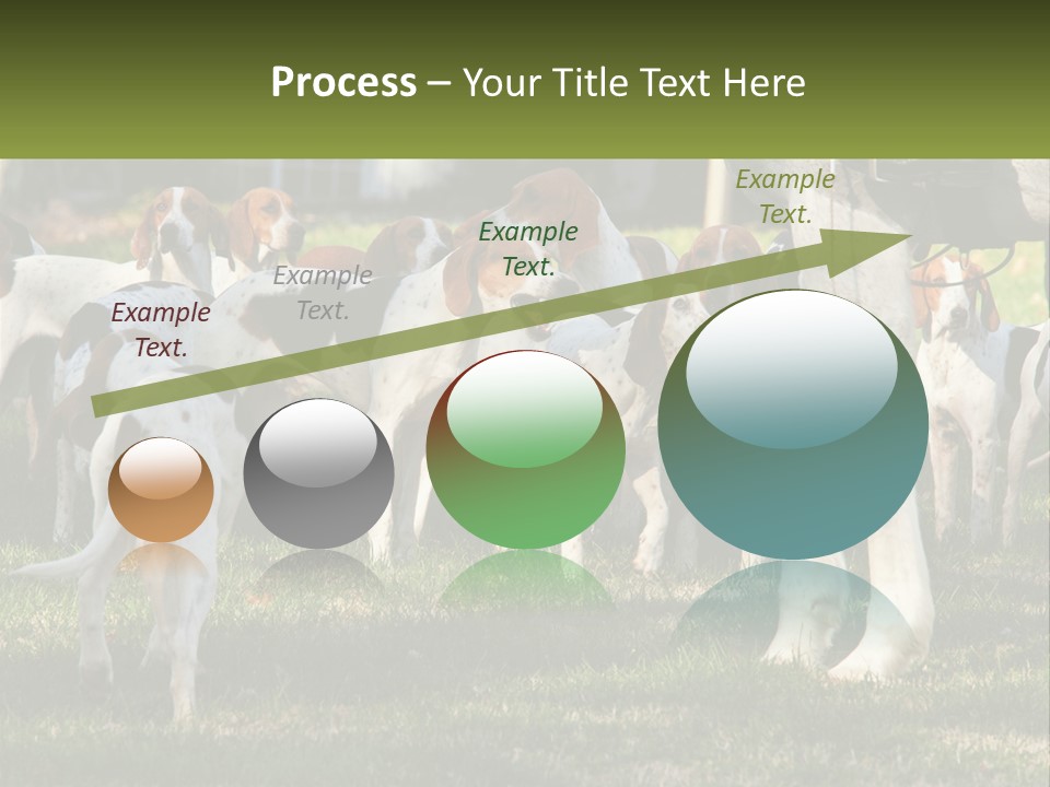 A Group Of Dogs That Are Standing In The Grass PowerPoint Template