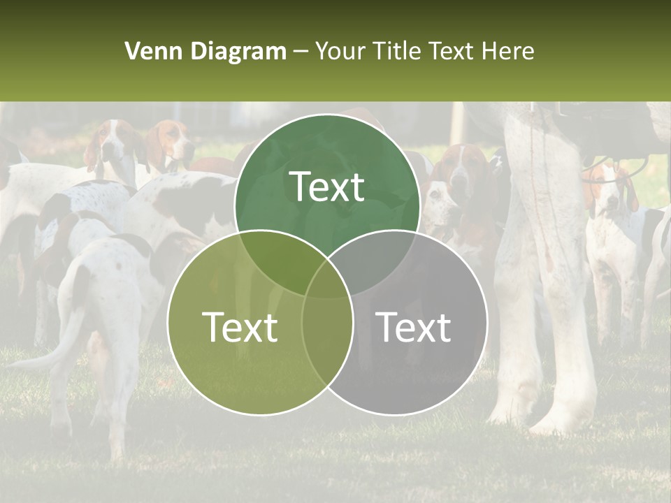 A Group Of Dogs That Are Standing In The Grass PowerPoint Template