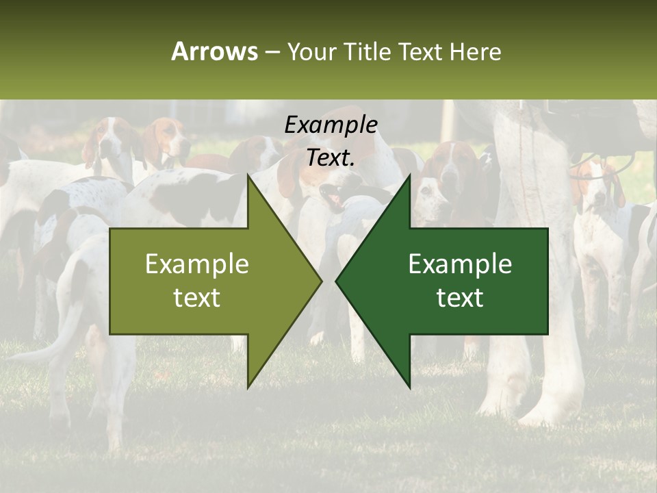 A Group Of Dogs That Are Standing In The Grass PowerPoint Template