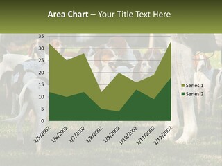 A Group Of Dogs That Are Standing In The Grass PowerPoint Template