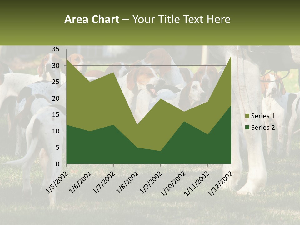 A Group Of Dogs That Are Standing In The Grass PowerPoint Template