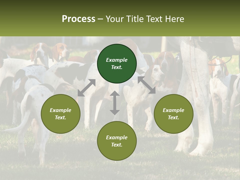 A Group Of Dogs That Are Standing In The Grass PowerPoint Template