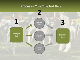 A Group Of Dogs That Are Standing In The Grass PowerPoint Template