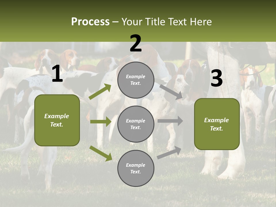 A Group Of Dogs That Are Standing In The Grass PowerPoint Template