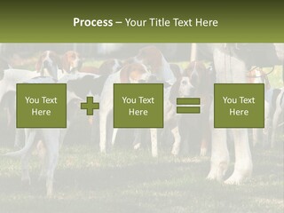 A Group Of Dogs That Are Standing In The Grass PowerPoint Template