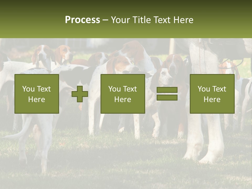 A Group Of Dogs That Are Standing In The Grass PowerPoint Template