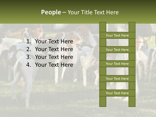 A Group Of Dogs That Are Standing In The Grass PowerPoint Template