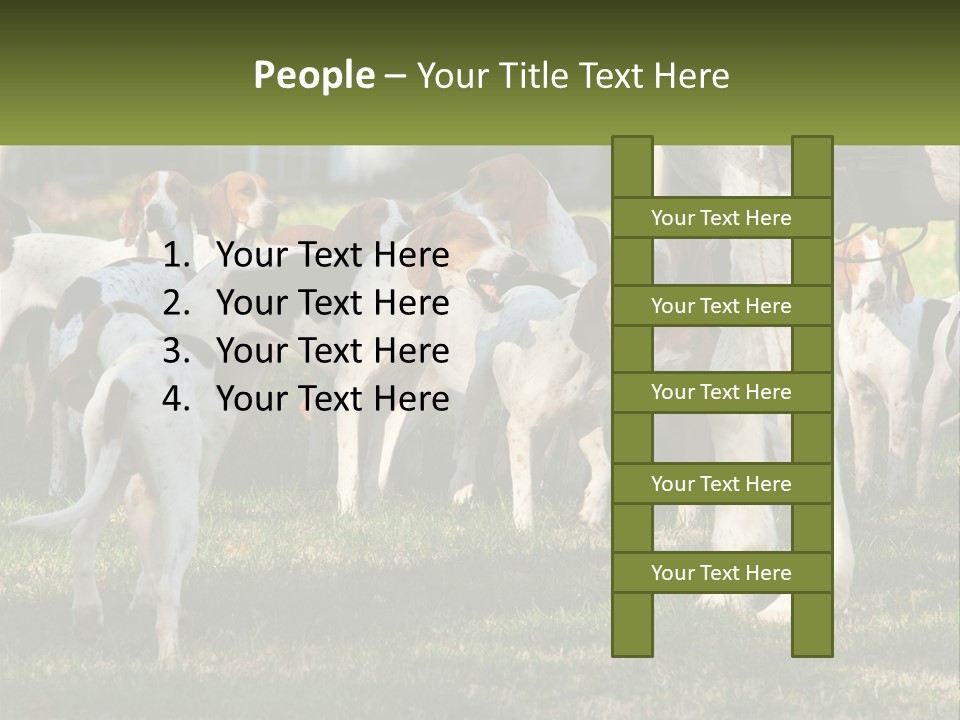 A Group Of Dogs That Are Standing In The Grass PowerPoint Template