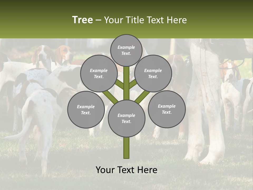 A Group Of Dogs That Are Standing In The Grass PowerPoint Template