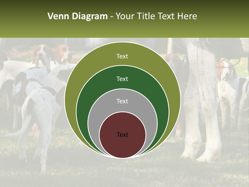A Group Of Dogs That Are Standing In The Grass PowerPoint Template