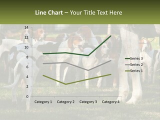 A Group Of Dogs That Are Standing In The Grass PowerPoint Template