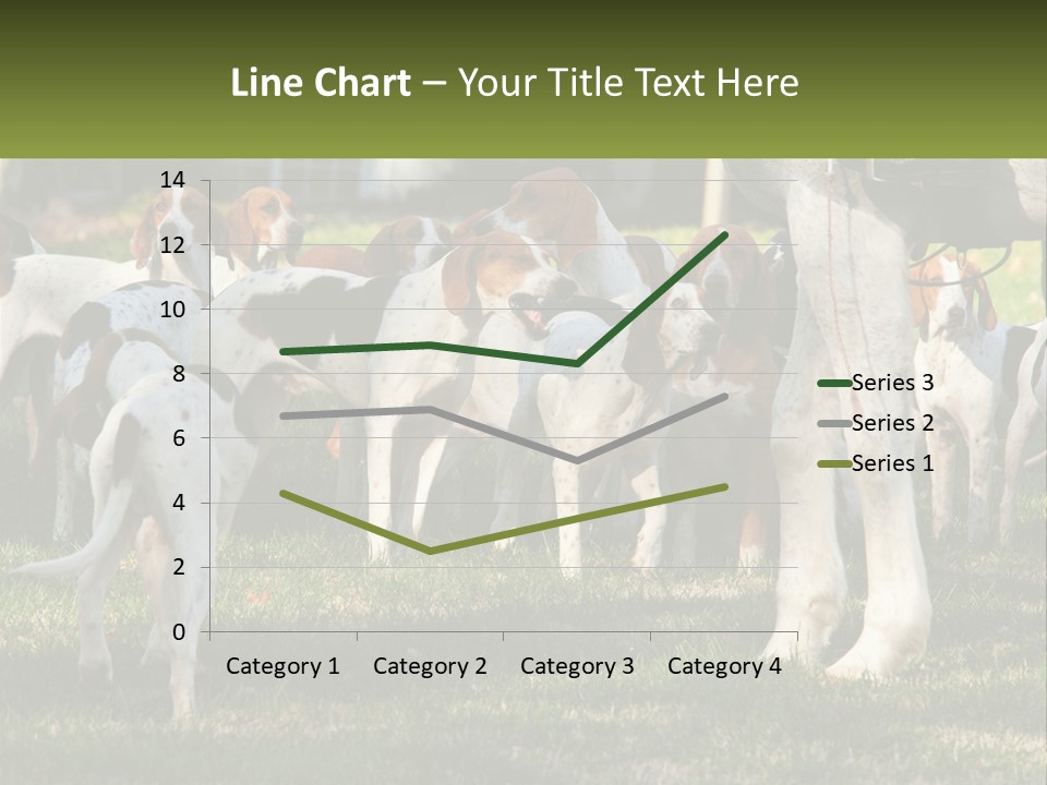 A Group Of Dogs That Are Standing In The Grass PowerPoint Template
