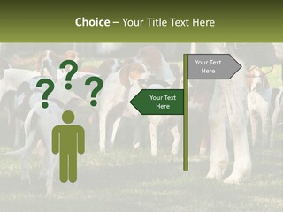 A Group Of Dogs That Are Standing In The Grass PowerPoint Template