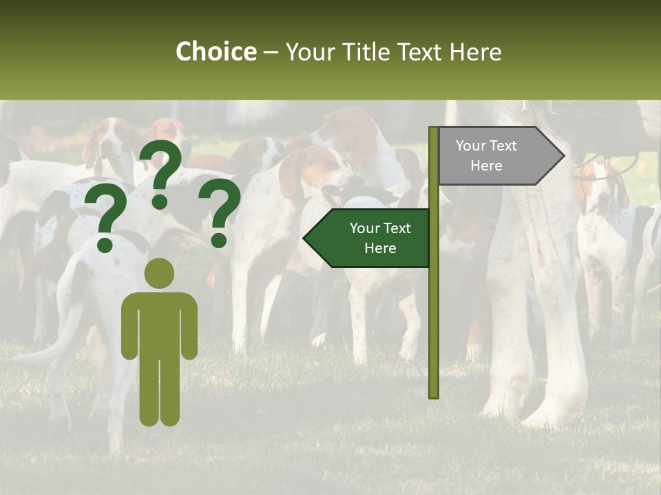 A Group Of Dogs That Are Standing In The Grass PowerPoint Template