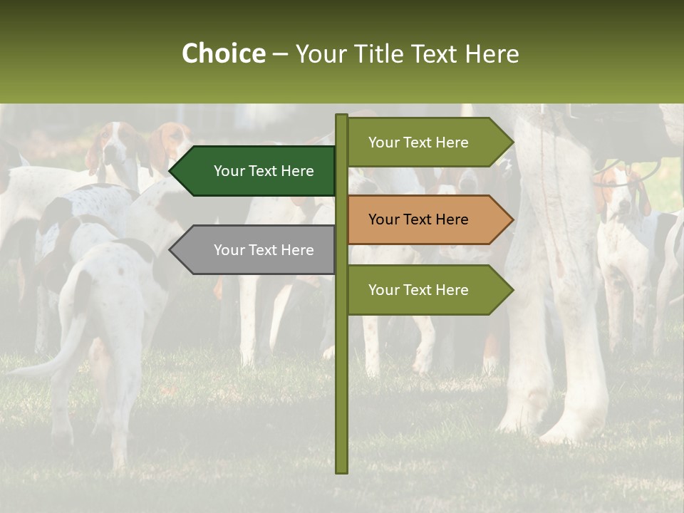 A Group Of Dogs That Are Standing In The Grass PowerPoint Template