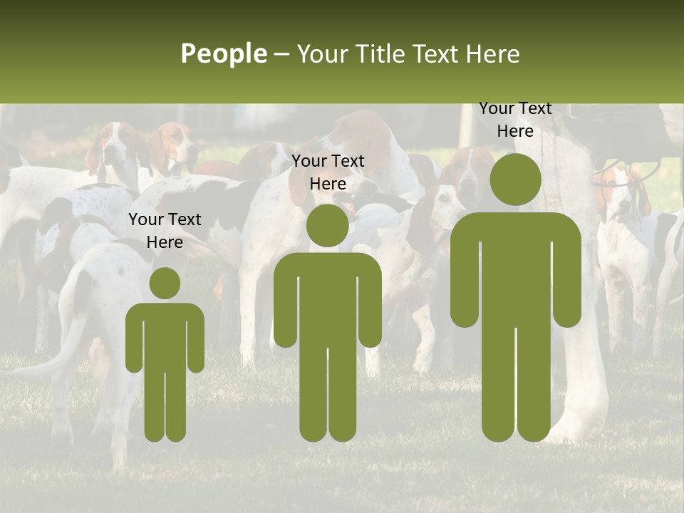 A Group Of Dogs That Are Standing In The Grass PowerPoint Template