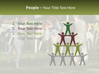 A Group Of Dogs That Are Standing In The Grass PowerPoint Template