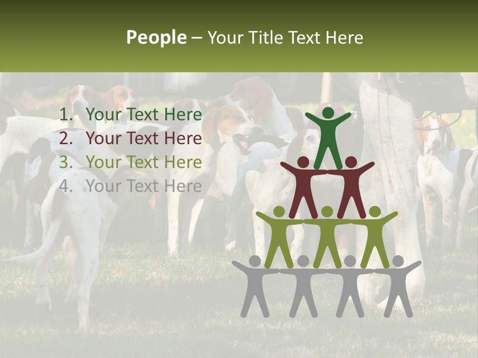 A Group Of Dogs That Are Standing In The Grass PowerPoint Template