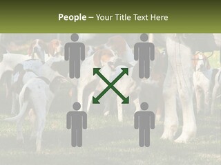 A Group Of Dogs That Are Standing In The Grass PowerPoint Template