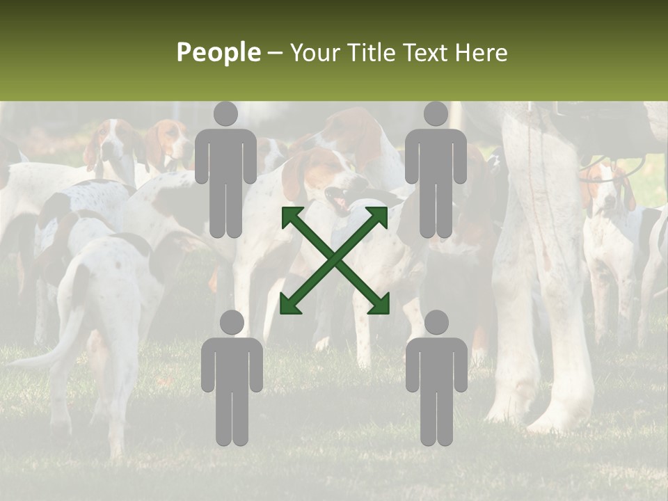A Group Of Dogs That Are Standing In The Grass PowerPoint Template