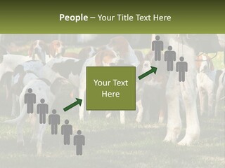 A Group Of Dogs That Are Standing In The Grass PowerPoint Template