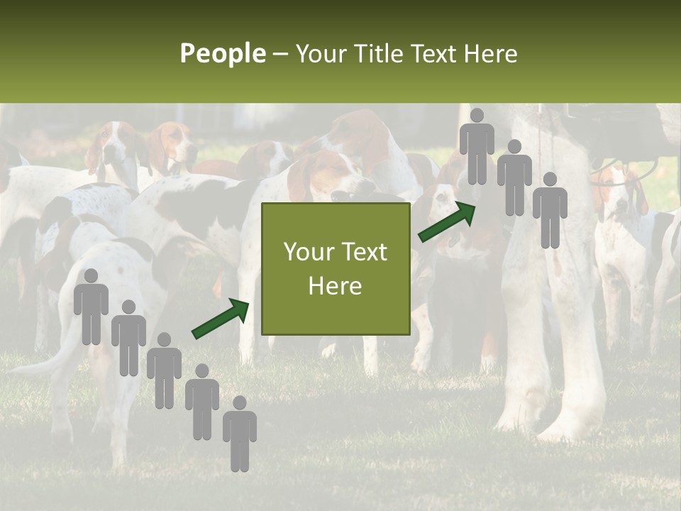 A Group Of Dogs That Are Standing In The Grass PowerPoint Template