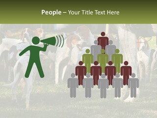 A Group Of Dogs That Are Standing In The Grass PowerPoint Template
