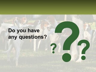 A Group Of Dogs That Are Standing In The Grass PowerPoint Template