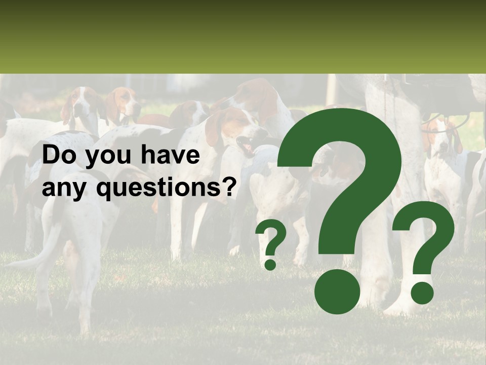 A Group Of Dogs That Are Standing In The Grass PowerPoint Template
