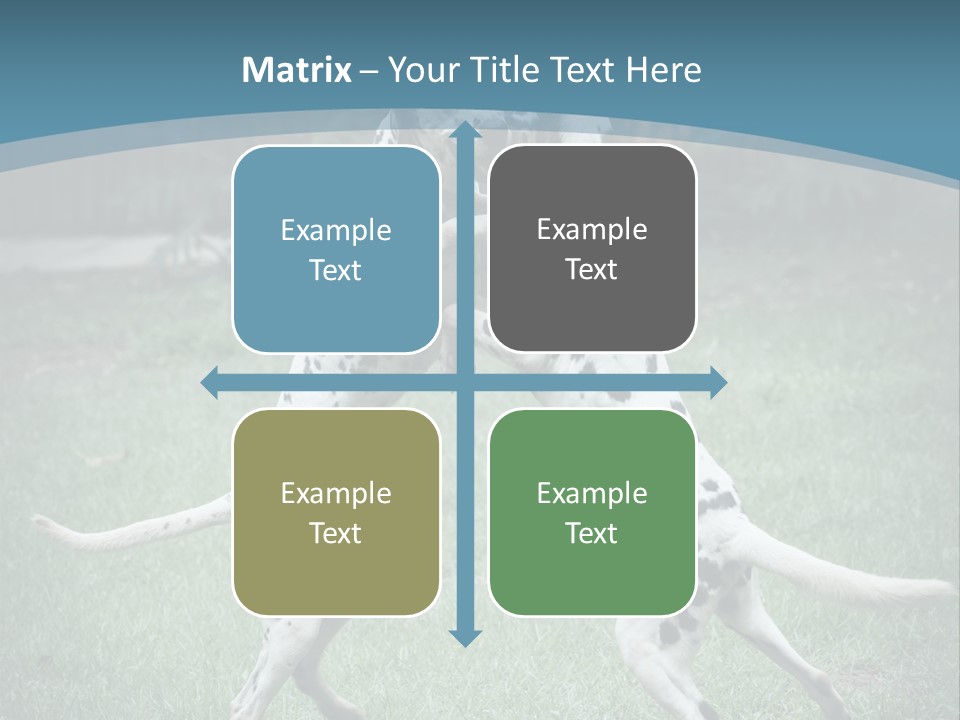 Two Dalmatian Dogs Playing With Each Other In The Grass PowerPoint Template