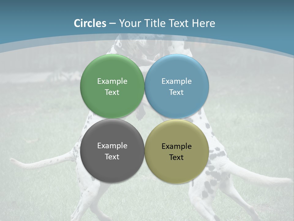 Two Dalmatian Dogs Playing With Each Other In The Grass PowerPoint Template