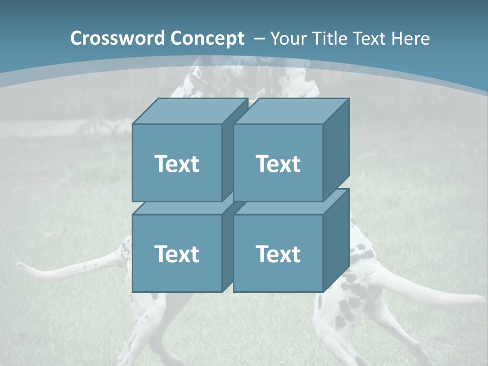 Two Dalmatian Dogs Playing With Each Other In The Grass PowerPoint Template