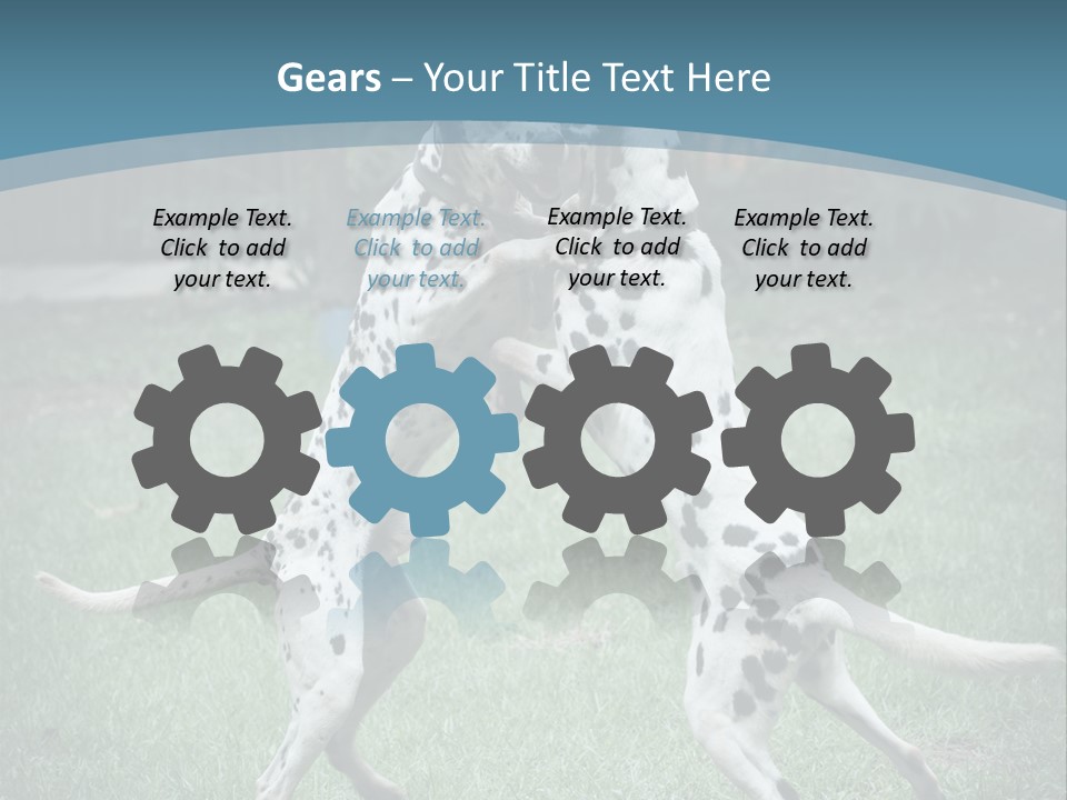 Two Dalmatian Dogs Playing With Each Other In The Grass PowerPoint Template